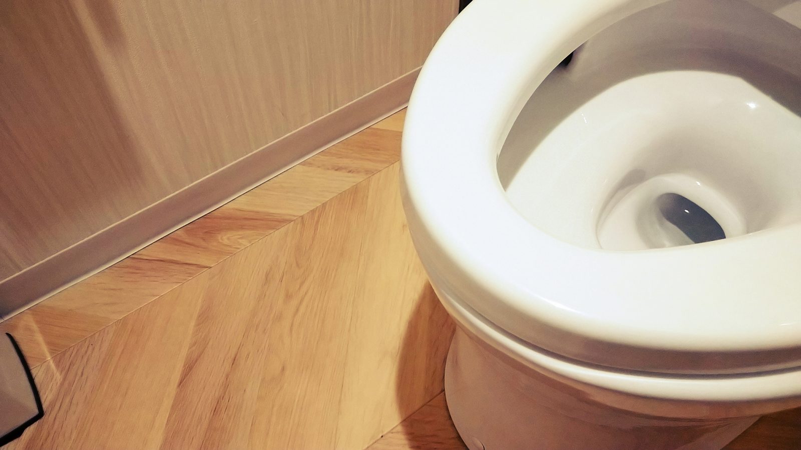 トイレの床の水漏れは応急処置が先｜原因4か所と自分で直せる範囲